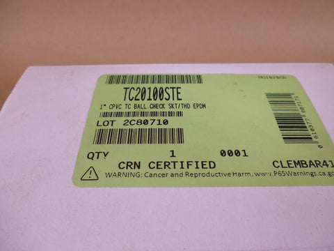 Hayward TC20100STE 1" CPVC True Union Ball Check Valve EPDM 5AAW3