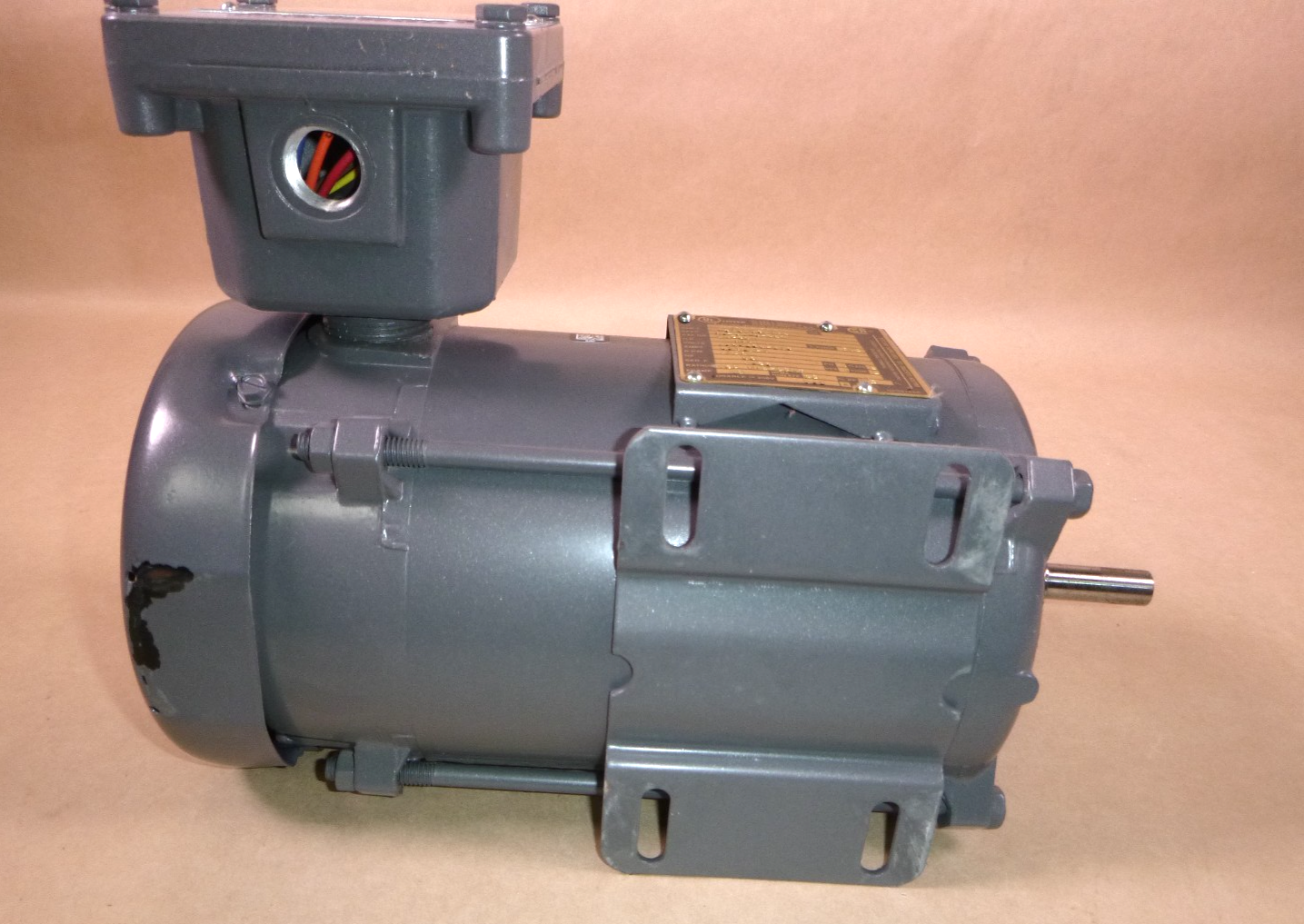 Baldor Single-Phase Explosion Proof Motor 1/3HP, 1725RPM, 48 Frame, Foot Mount | Industrial Electric Motors, Pumps &amp; Parts