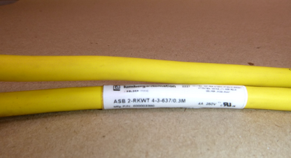 USED ASB 2-RKWT 4-3-637/0.3M Lumberg Automation M12 Y-splitter cordset 0.3 M Long | Electrical MRO Replacement Parts &amp; Components and Commercial Electrical Supplies Company