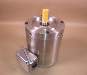 191205 Leeson Stainless Washdown Duty Motor 1/2HP 1750RPM 56C TENV 208-230/460 | Industrial Electric Motors, Pumps & Parts
