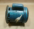 HILD FLOOR SCRUBBING MACHINE GP-15A REPLACEMENT AC MOTOR 1/2 HP. 115 VOLT | Industrial Electric Motors, Pumps & Parts