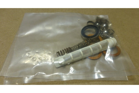 SPX POWER TEAM 300487 NITRILE REPAIR KIT FOR P157 P159 61821 61822 61823 PUMP - Royal Equipment Royal Equipment